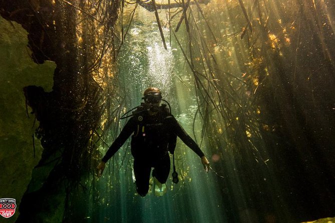 Discovery Scuba Diving - Inclusions