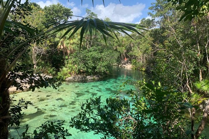 Discovery Tsonoti in Day of Non Touristic Cenotes - Transportation Options
