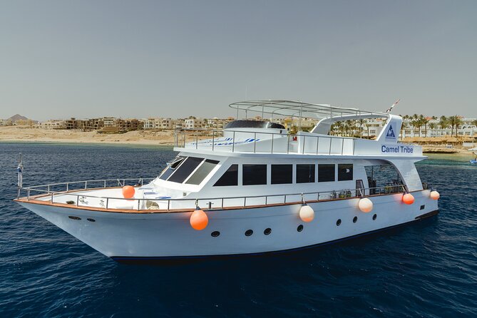 Dive in Sharm El Sheikh - Diving Boat Trip for Certified Divers - Meeting and Pickup