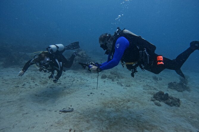 DiveCarib - An Eco-Friendly Certified Diver Trip in Antigua - Meeting and Departure Details