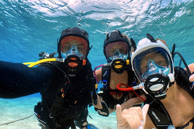 Diving For People Without Experience - Inclusions and Transportation