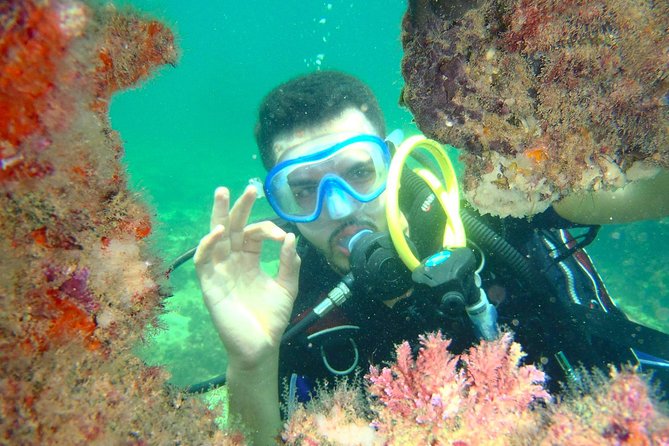 Diving Initiation (Initiation) - Discovering the Underwater World