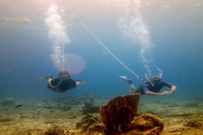 Diving Without Tanks on Your Back! - Inclusions