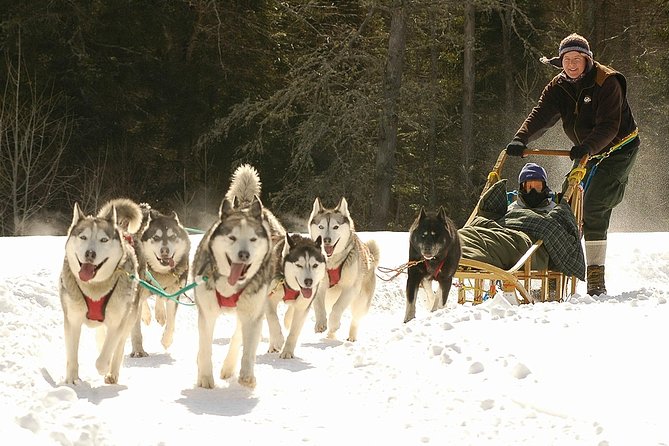 Dogsled Adventure in Mont-Tremblant - Tour Experience and Activities