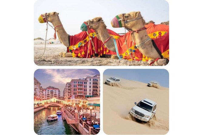 Doha : Combo Private City Tour & Half-day Desert Safari - Inclusions and Amenities