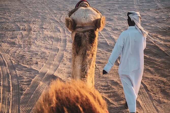 Doha-Half Day Safari With Quad Bike Atv/Camel Ride/Sandboard - Inclusions of the Tour