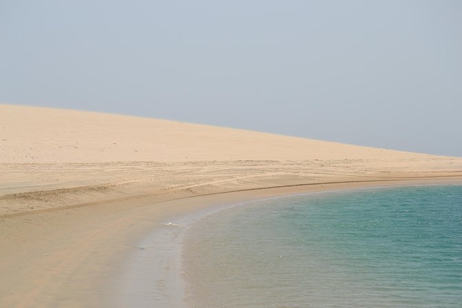 Doha: Safari, Dune Bashing, Camel Ride, Sandboarding & Inland Sea - Thrill of Dune Bashing