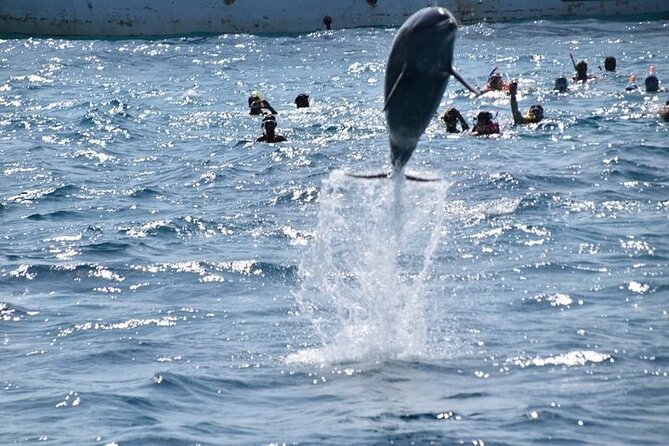 Dolphin House: Full-Day Trip by Boat in Hurghada - Inclusions