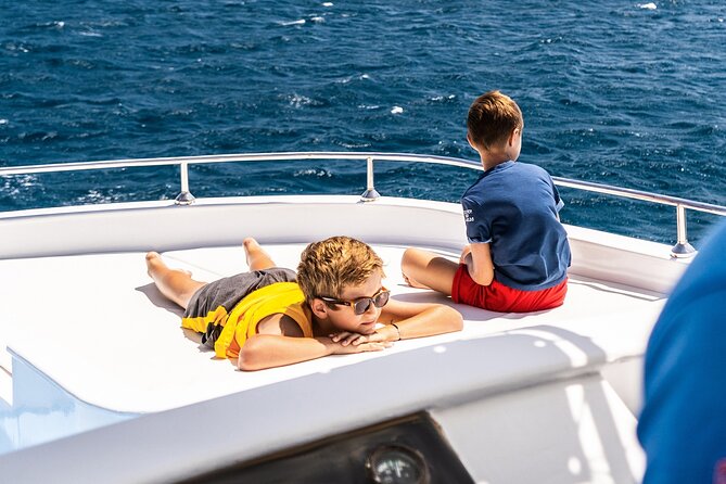 Dolphin House Samadai Reef Boat Snorkeling Trip From Marsa Alam - Dolphin Sightings and Expectations