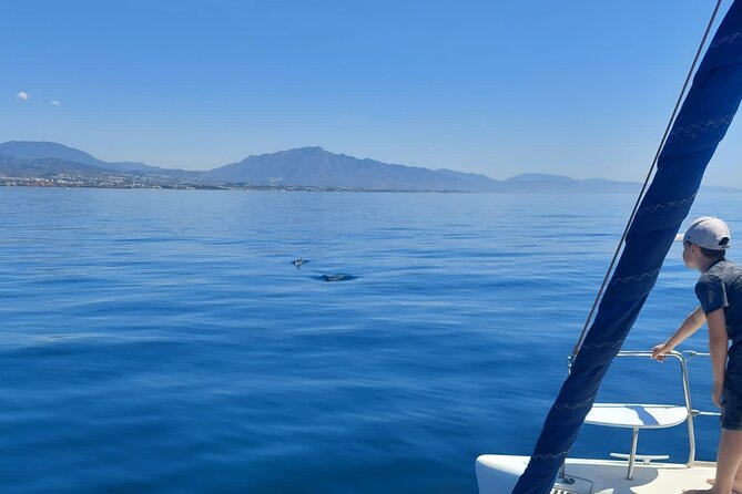 Dolphin Trips on a Catamaran - Experience Highlights