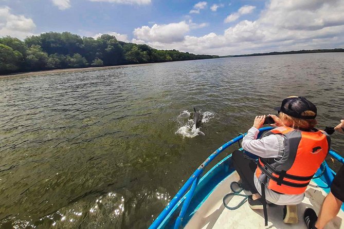 Dolphin Watching Experience in Puerto El Morro From Guayaquil - Tour Highlights