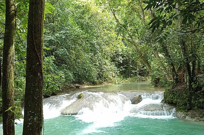 Dominican FLAVOR & COUNTRYSIDE SAFARI Pick-up Included - Dining Experience