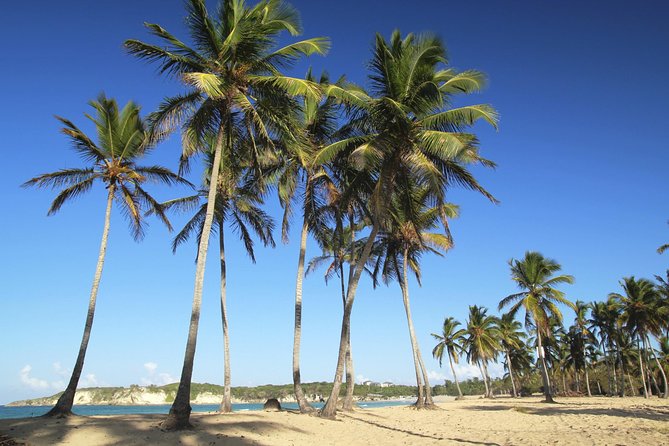 Dominican Republic Cultural Safari From Punta Cana - Pickup Information