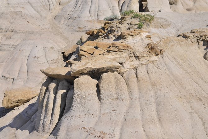 Drumheller (Dinosaur Valley) & Horseshoe Canyon 1-Day Tour - Inclusions and Exclusions