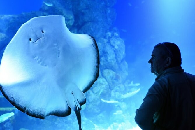 Dubai Aquarium And Underwater Zoo Tickets At Dubai Mall - Ticket Pricing Details