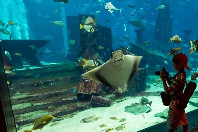 Dubai Aquarium and Underwater Zoo With Penguin Cove Tickets. - Location and Getting There