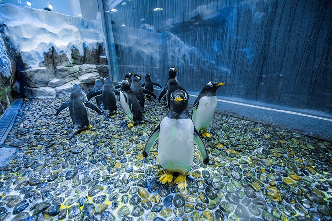 Dubai Aquarium With Various Animal Encounter and Access Options - Ticket Options and Pricing