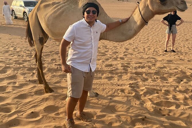 Dubai Desert Safari: Premium Adventure ,Camel Riding & Live Shows - Highlights of the Itinerary