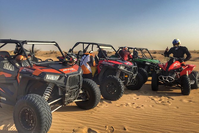 Dune Buggy - Highlights of the Experience