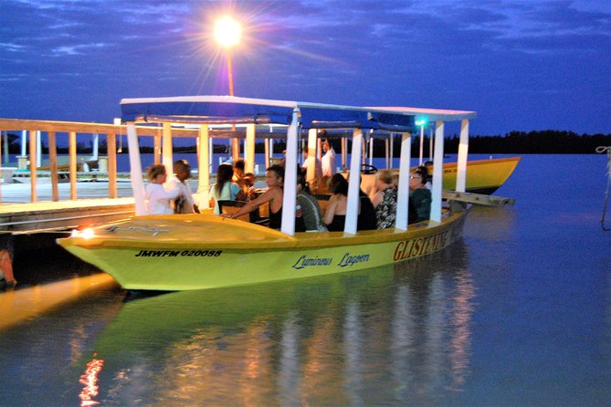 Dunns River Falls and Luminous Lagoon Guided Tour From Grand Palladium - Inclusions and Exclusions
