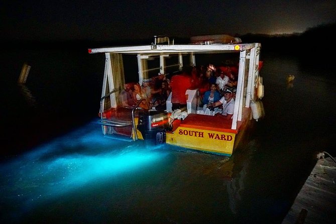 Dunns River Falls & Luminous Lagoon Guided Tour With Admission From Falmouth - Inclusions and Costs