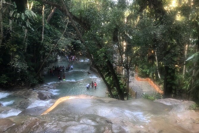 Dunns River Falls Private Day Tour - Pricing Information