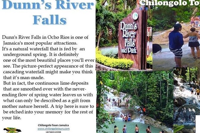 Dunn'S River Falls,Zip Lining & Horseback Riding Combo Tour From Montego Bay - Tour Highlights