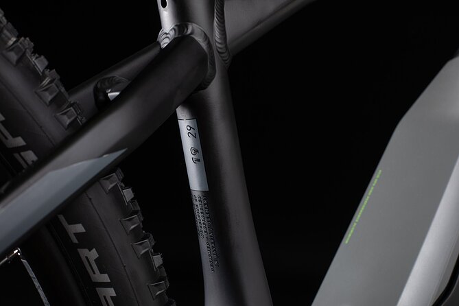 E-Bike Rental From Cruise Ship Terminal - Customer Experiences and Feedback