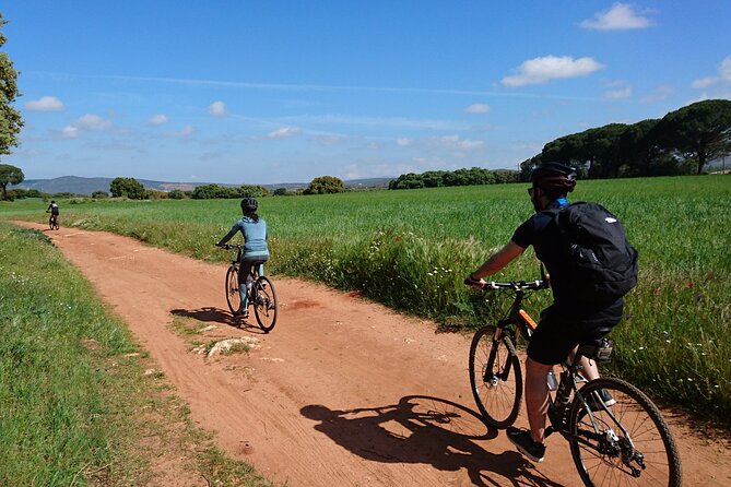 E-Bike (Self-Guided) & Winery Tour - 20KM Easy - Sample Menu