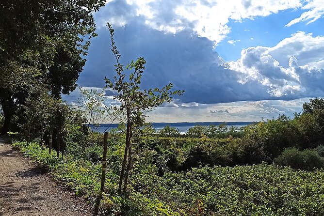 E-Bike Tour and Wine Tasting From Bardolino - Exploring Inland Landscapes