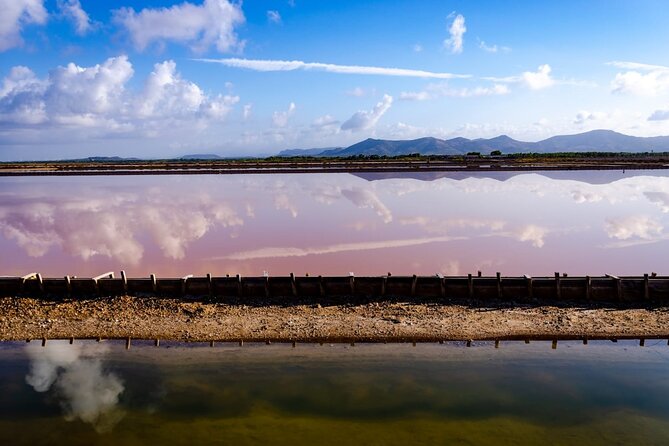 E-Bike Tour in the Santantioco Salt Marshes at Sunset - Local Wildlife Sightings