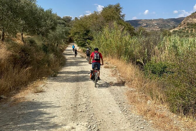 E-Bike Tour With Wine Tasting in Dafnes, Heraklion - Inclusions