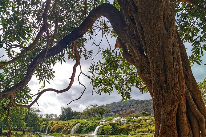 East of Salalah, Mountain Safari, Camels, Waterfall, White Beach - Included Activities