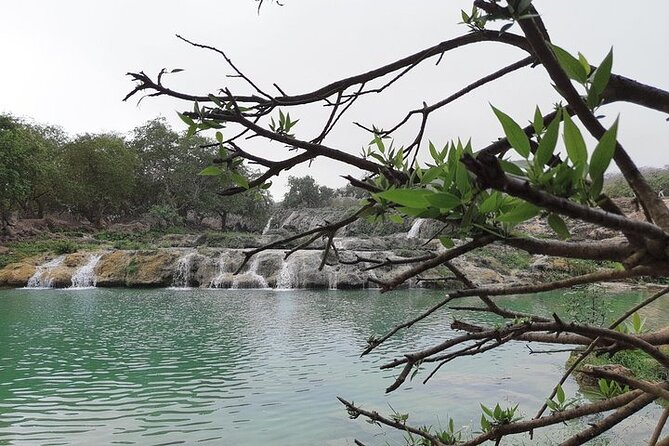 East Salalah Mountain Safari - Karak Tea and Cultural Immersion