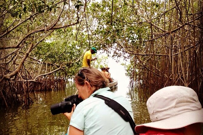 Ecological Route by Lever Canoe With Artisanal Fishing Show - Pickup and Accessibility