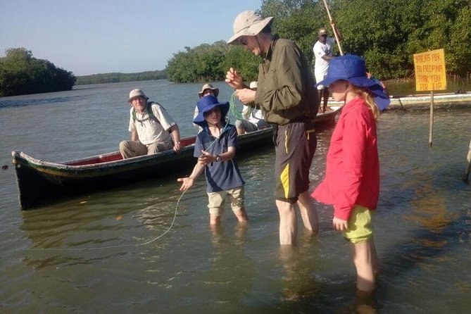Ecoruta Volcano of Totumo and Experience in the Mangroves - Exploration of the Mangrove Ecosystem