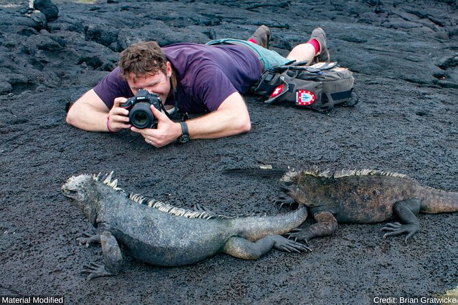 Ecuador & Galapagos: See It ALL in 12 Days, 1st Class Tours - Transportation and Tour Guides