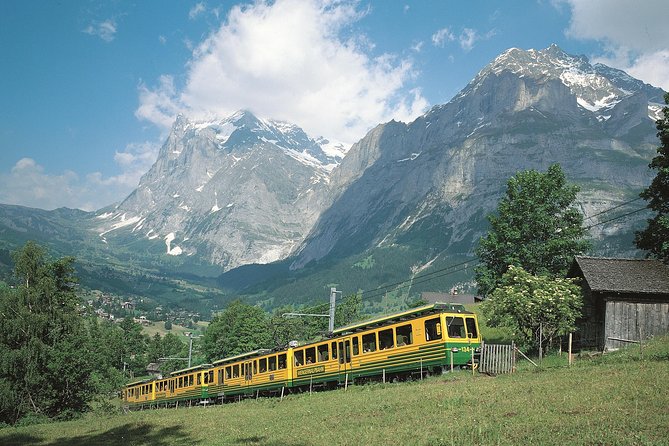 Eiger and Jungfrau Panorama Day Trip From Lucerne - Inclusions and Accessibility