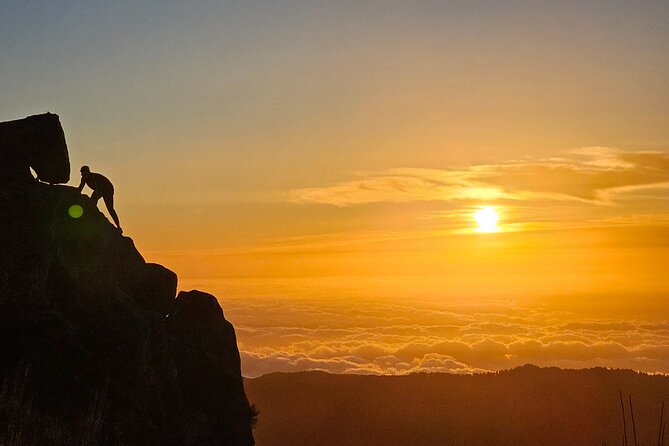 Set out on a Luxurious Private Journey: Unveiling the Madeira Best - Exploring Madeiras Natural Wonders
