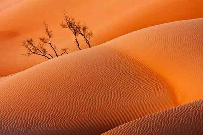 Empty Quarter And Lost City Of Ubar - Meeting and Pickup Information