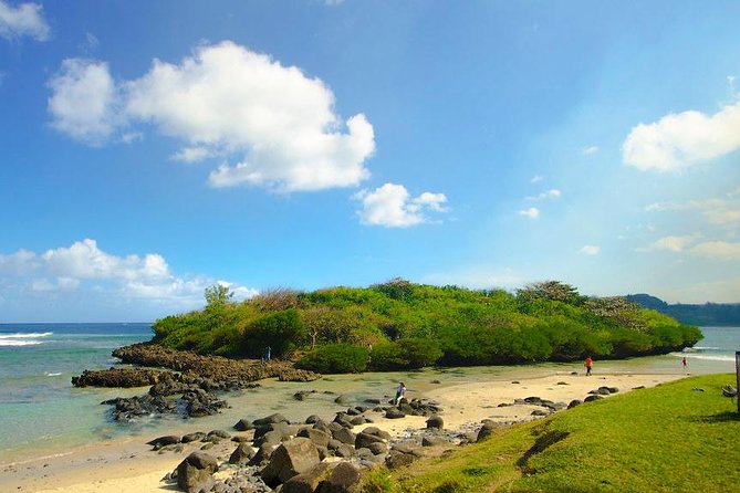 Enchanting South of Mauritius: Full-Day Tour Incl CASELA Park, Lunch & Transfer - Transportation Details