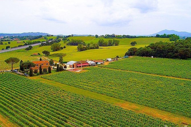 Enjoy a Meal With Wine Tasting in the Vineyard of Podere Casanova - Cancellation Policy