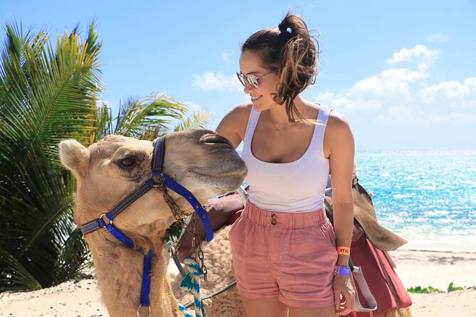 ENJOY UNIQUE CAMEL RIDE in Puerto Morelos With Transportation - Transportation and Pickup Information