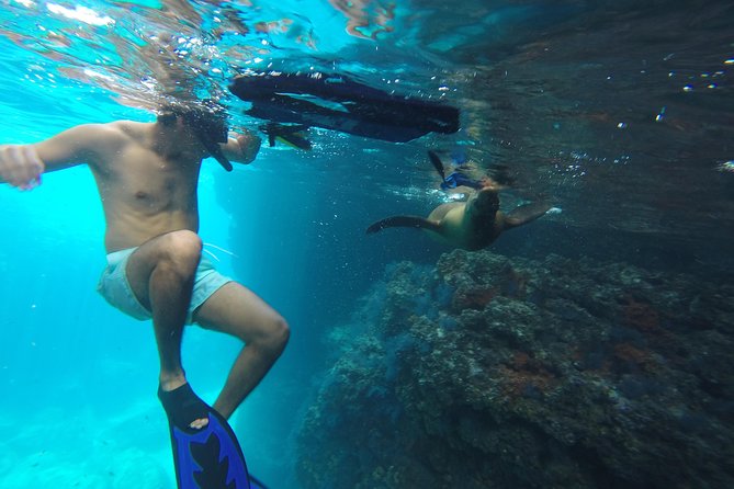 Espiritu Santo Island Snorkel & Sea Lion Adventure - Itinerary and Schedule