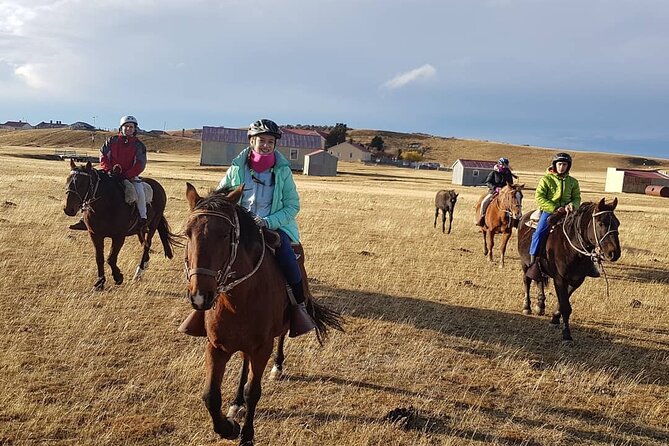 Estancia, From the Commune of Laguna Blanca - Sheep-Shearing Demonstration and Insights