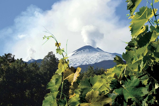 Etna and Wines Tour - Included in the Tour Package