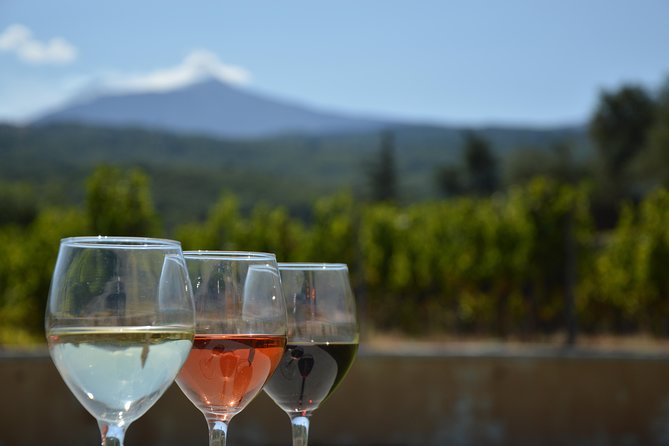 Etna DOC & Organic Wine Tasting and Tour of the 1815 Historic Winery - Private Winery Visit