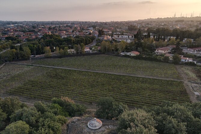 Etna Urban Winery Morning Vineyard Walk and Tasting - Optional Add-ons