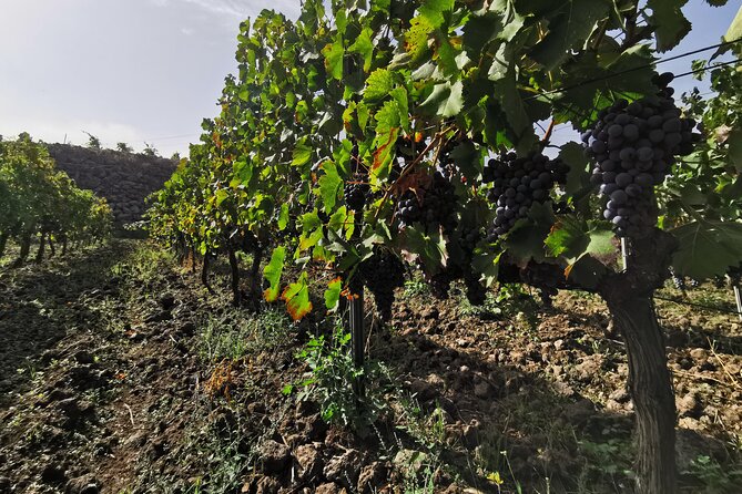 Etna Wine And Taormina From Messina - Inclusions