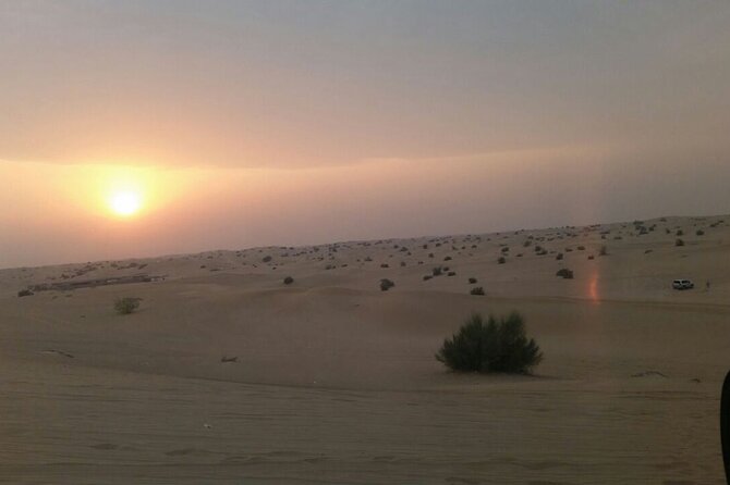 Evening Desert Safari Tour With Live Enterterment And BBQ Dinner - Inclusions and Highlights